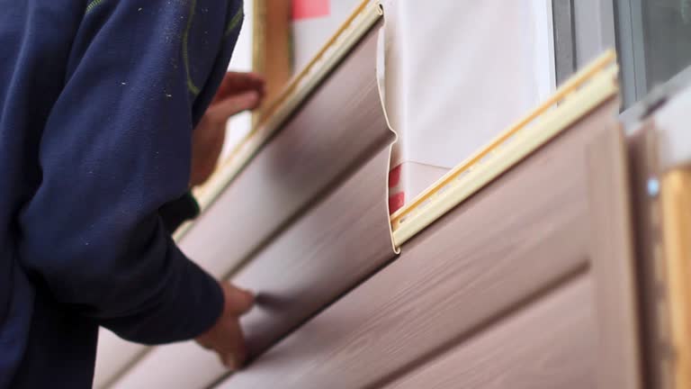 Best Dumpster Rental Services  in Mason, MI